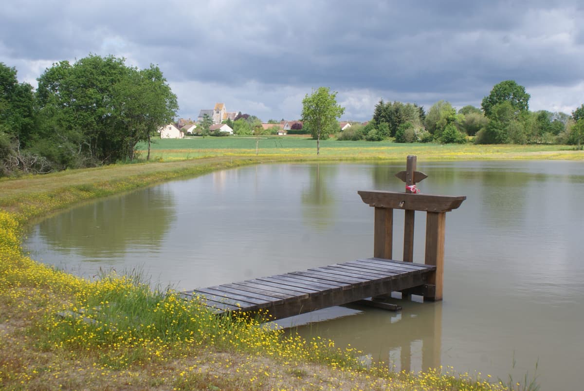 Fontaine-en-Sologne