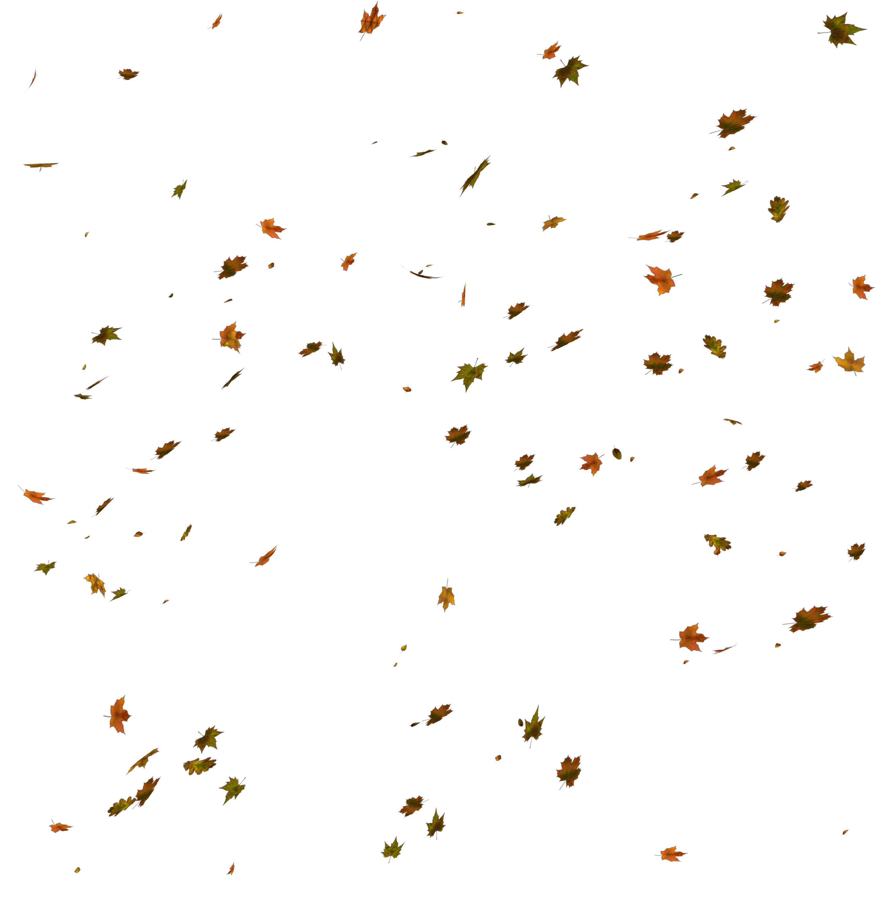 Feuilles qui tombent